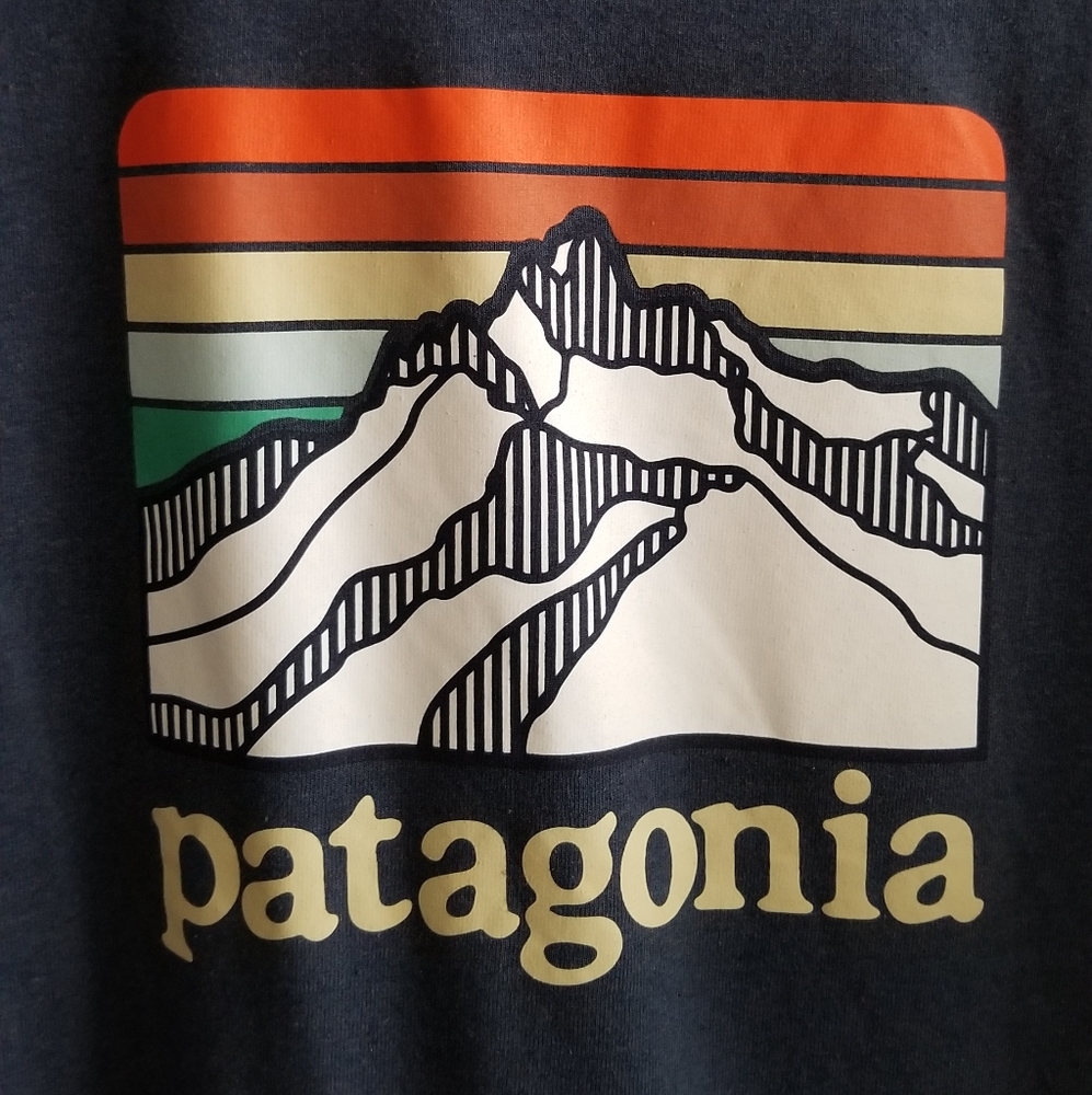 Patagonia Shirt